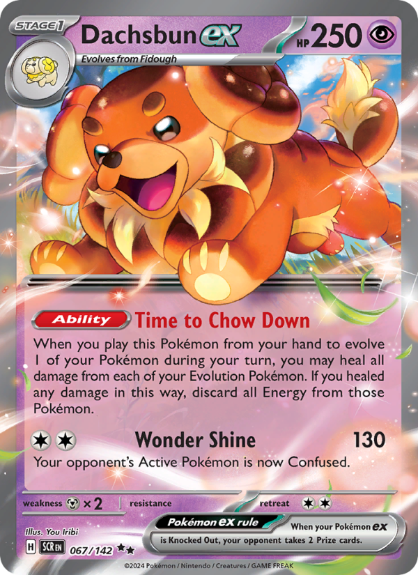 Dachsbun ex (067/142) Holographic card image