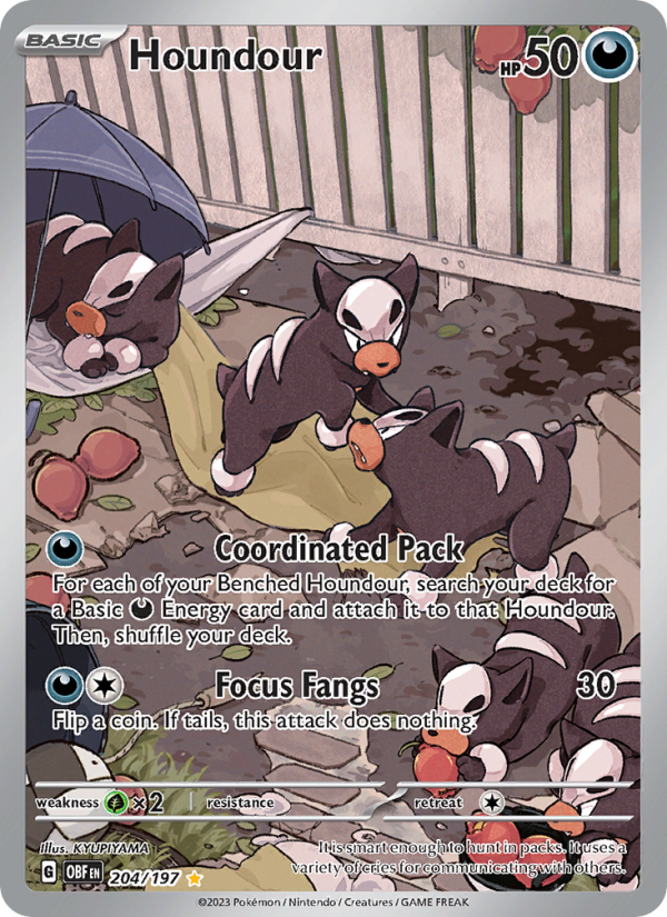 Houndour (204/197) Holographic card image