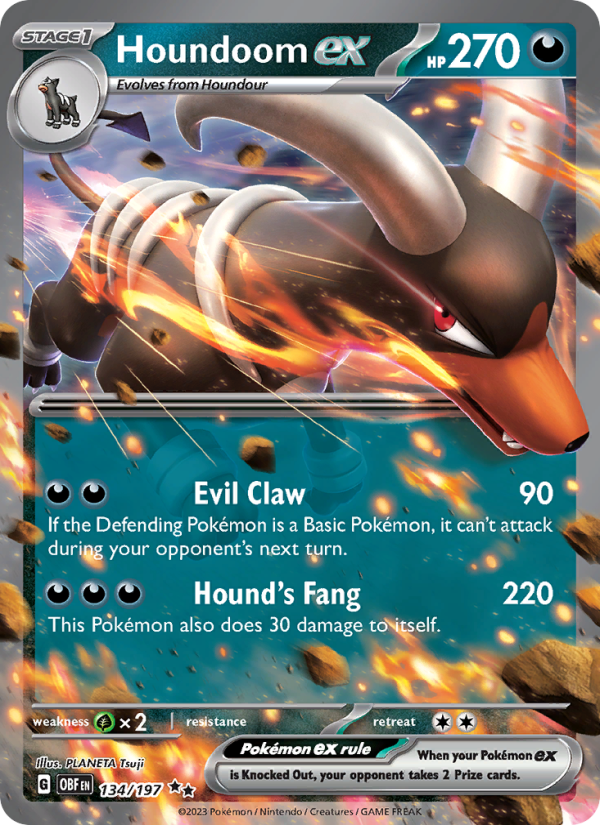 Houndoom ex (134/197) Holographic card image