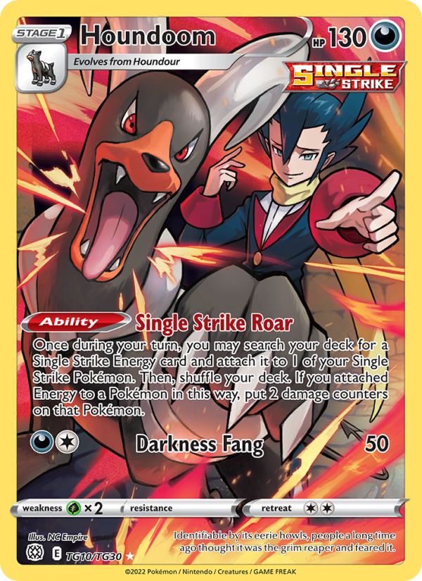 Houndoom (TG10/172) Holographic card image